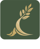 SSC Logo